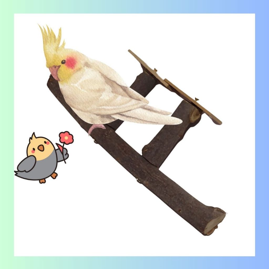 Brinquedos Para Calopsita Poleiro Duplo natural De Gaiola  Periquito Tuim Caturra Aves Pequenas Pássaros
