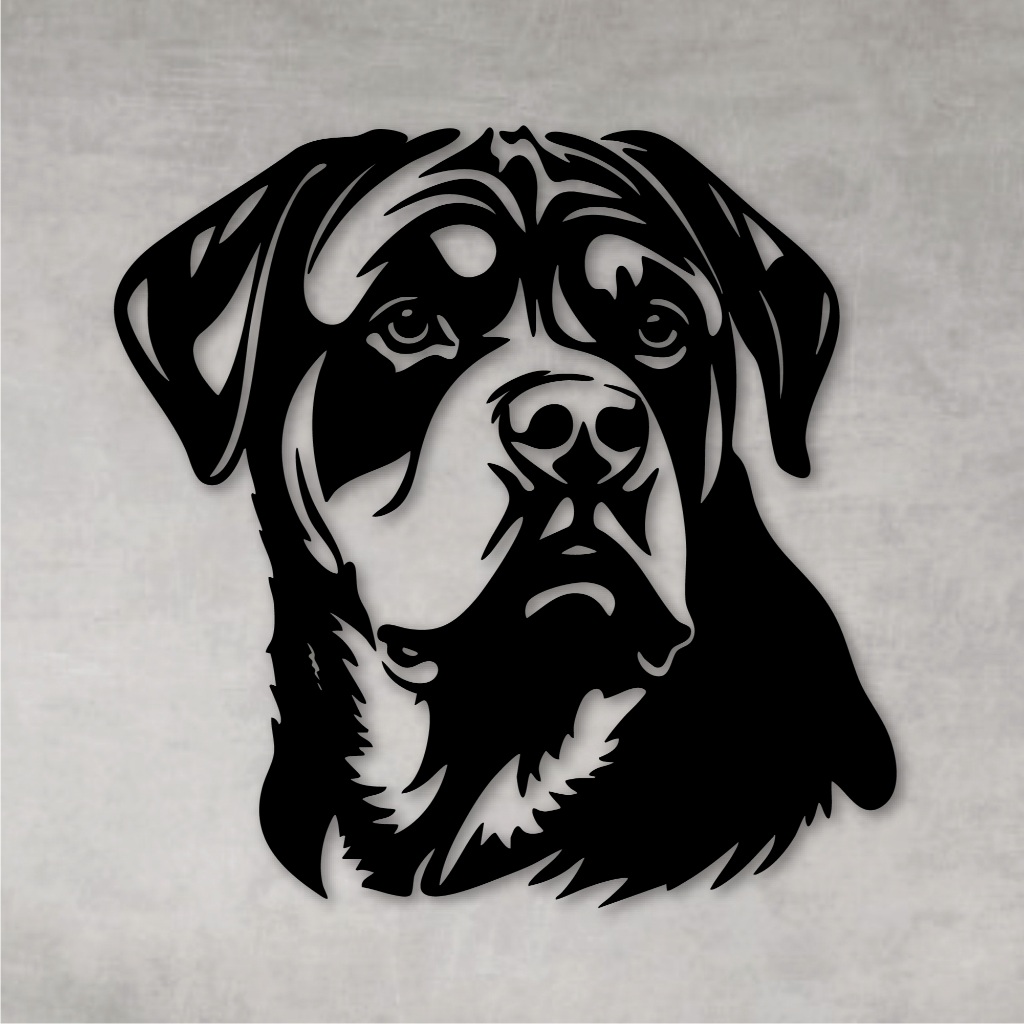 Fotos de Cachorro Rottweiler: Onde Comprar | BuscaProdutos