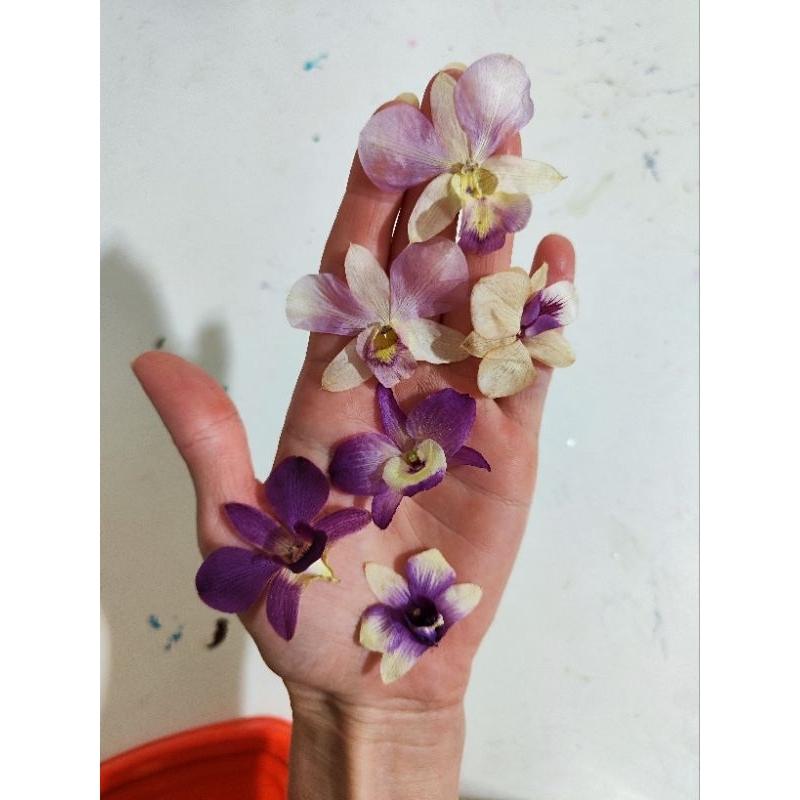 kit 3 flores de orquídeas secas, desidratadas para artesanato resina acessório quadro pingente