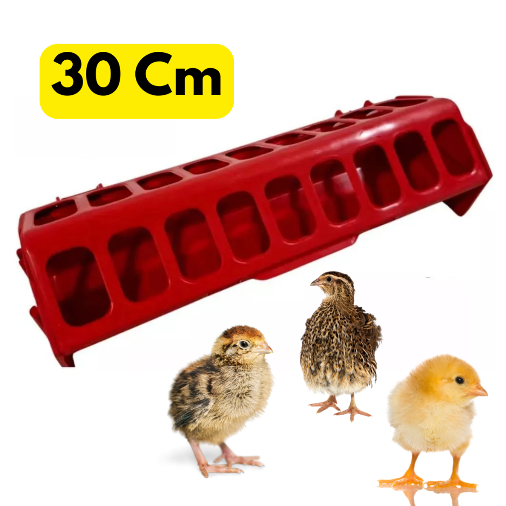 Comedouro Calha 30 cm Codornas Pássaros Pintinhos Granja Galinha 18 furos plastico