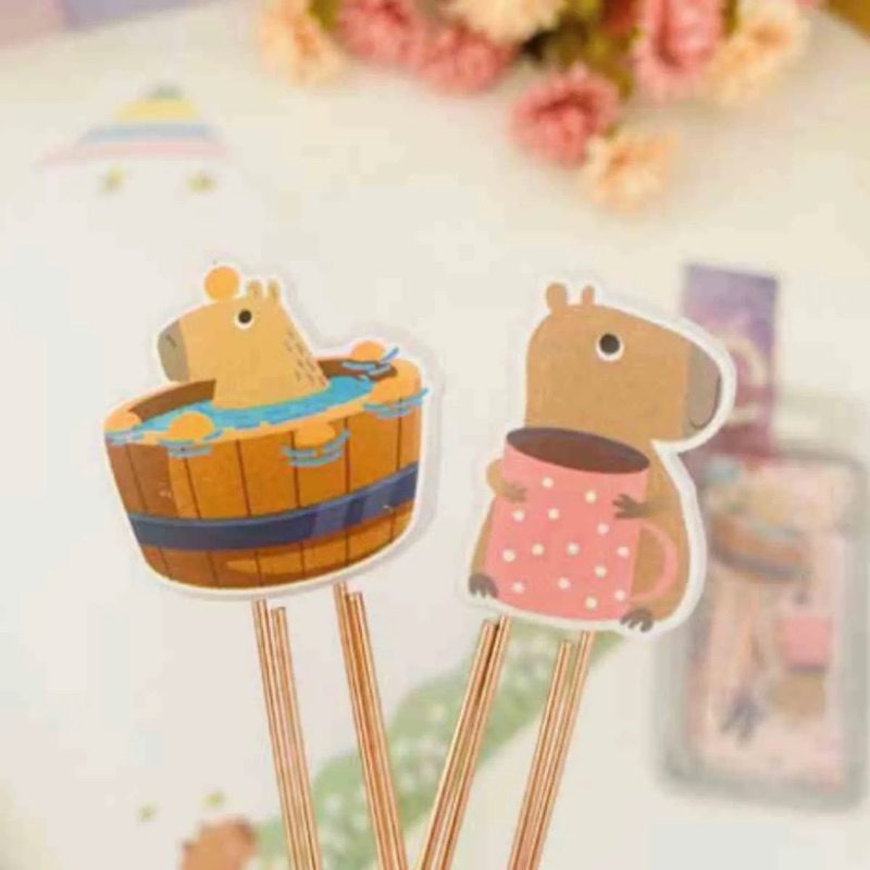 KIT 2 ÉCLIPS CAPIVARA BUENDIA