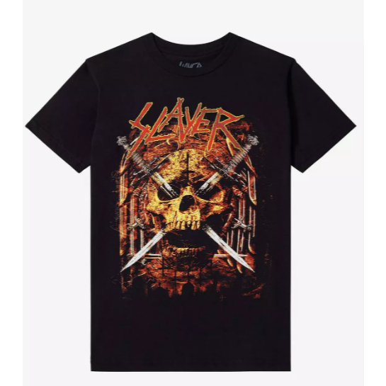 Camiseta Camisa Blusa Algodão Unissex Slayer Skull & Swords Boyfriend Fit Girls