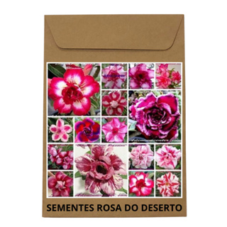 20 Sementes de Rosa do Deserto na cor PINK e VERMELHA em Oferta na Shopee