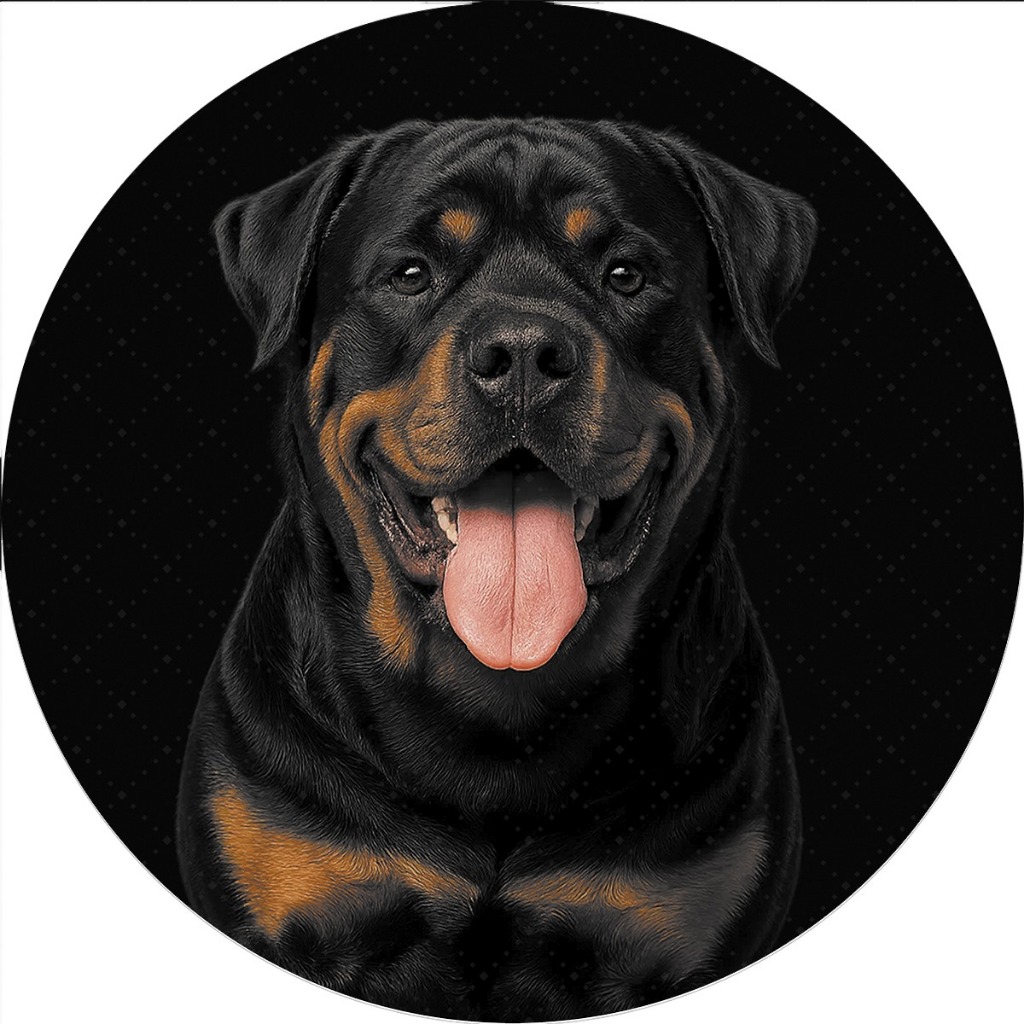 Capa de Estepe para  Ecosport Crossfox Rottweiler 1 CN802