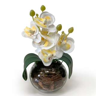 Mini Orquídea Diversas Cores Decoração Quarto Banheiro Flor Vaso Vidro Casca Pinus Acabamento em Oferta na Shopee