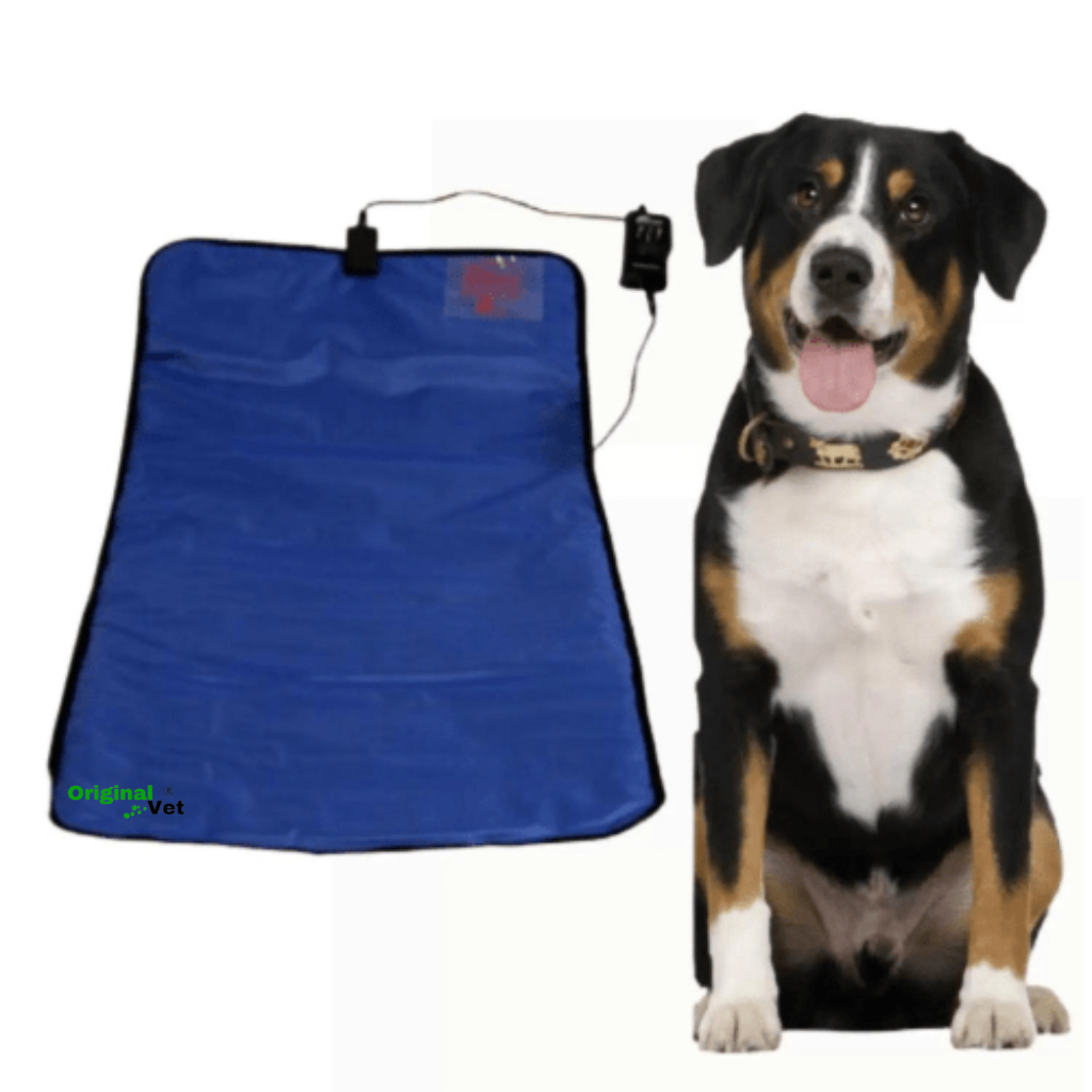 O que é Colchão Térmico Pet? Guia e Onde Comprar | BuscaProdutos