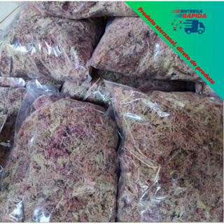 Musgo Esfagno Orgânico Substrato Orquídeas Sphagnum em Oferta na Shopee