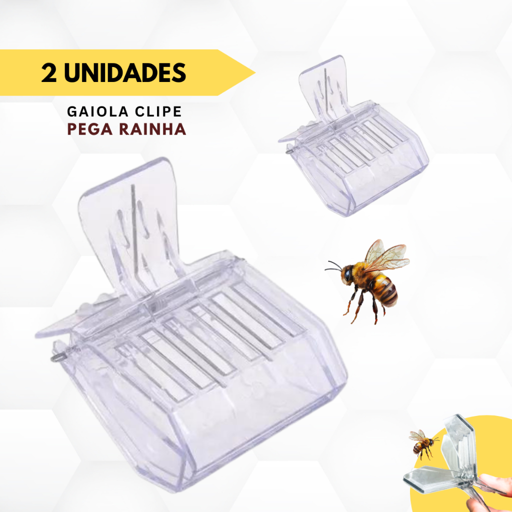 Colmeia Abelha Rainha | BuscaProdutos