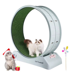 Roda Para Gato Academia Pet Esteira De Exercício Indoor Apartamento Silenciosa Queima Energia Com Varinha de brinde