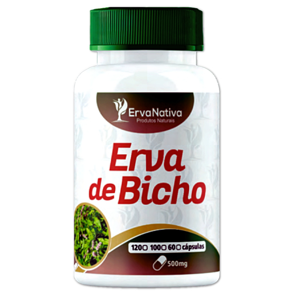 Erva de Bicho 500mg 100 Cápsulas em Oferta na Shopee