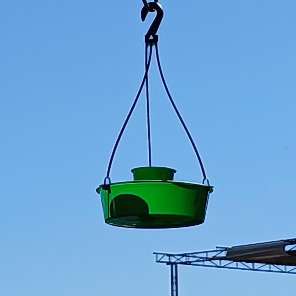 Comedouro Para Passáros Livres Com Alça Para Pendurar. em Oferta na Shopee