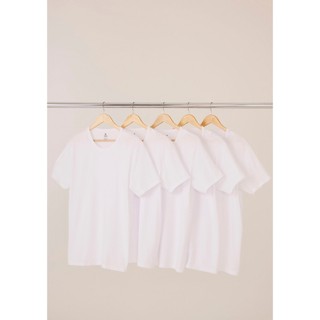 Kit Com 5 Camisetas Masculinas Básicas Slim Hering