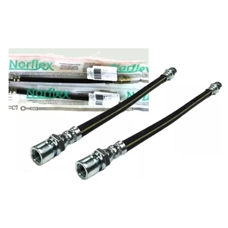 Par Flexivel Freio Traseiro 231mm Corsa Celta Taseiro