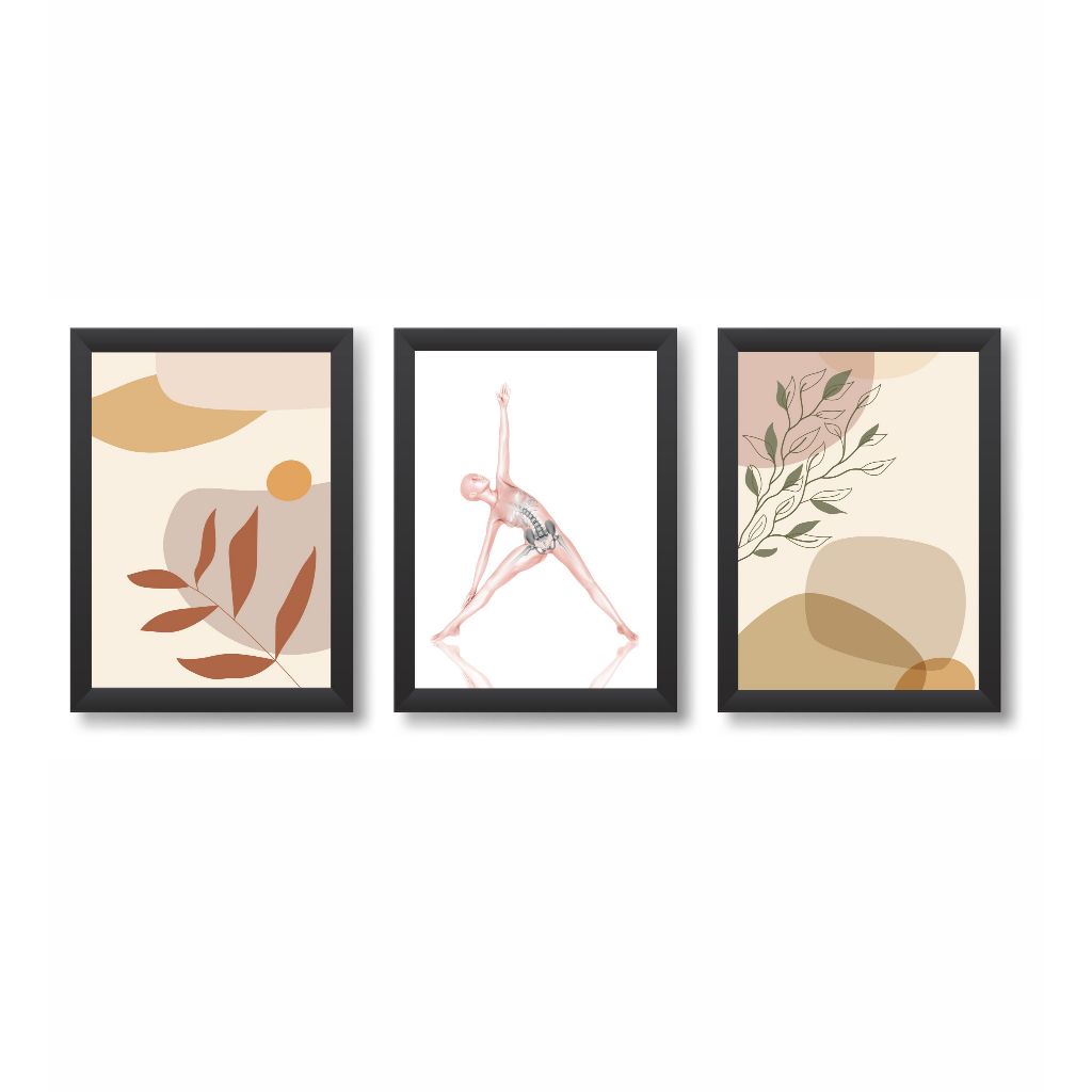Kit 3 Quadros Decorativos Anatomia do Corpo Humano Decoração Consultório Médico Molduras 20x30cm Madeira