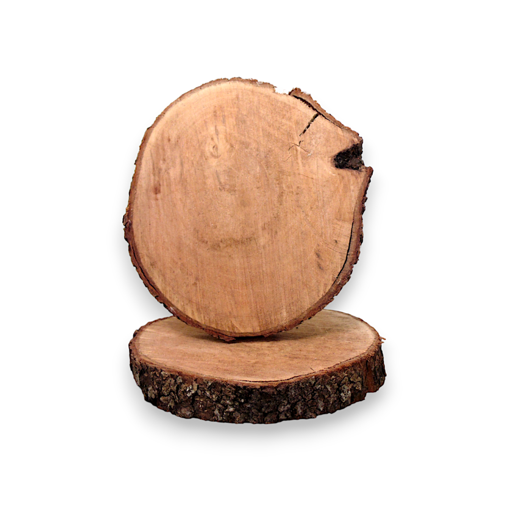 Bolacha Madeira Tronco Arvore 18-20 CM P/ Decoração Festas Mesa
