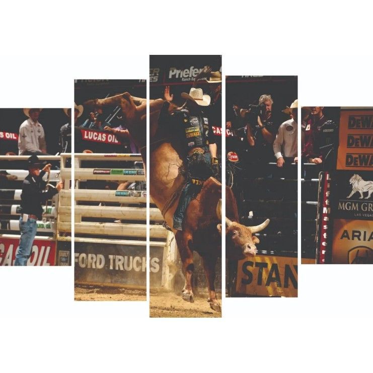 Quadro 5 Peças Montaria De Rodeio Peao Boi Pulando Rodeio