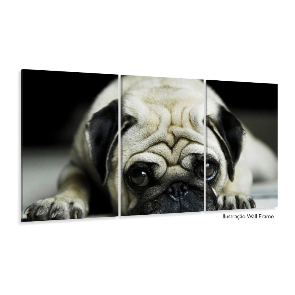 Quadro Decorativo Cachorro Pug Petshop Animais Companhia Amizade Pelagem Doçura Carinho
