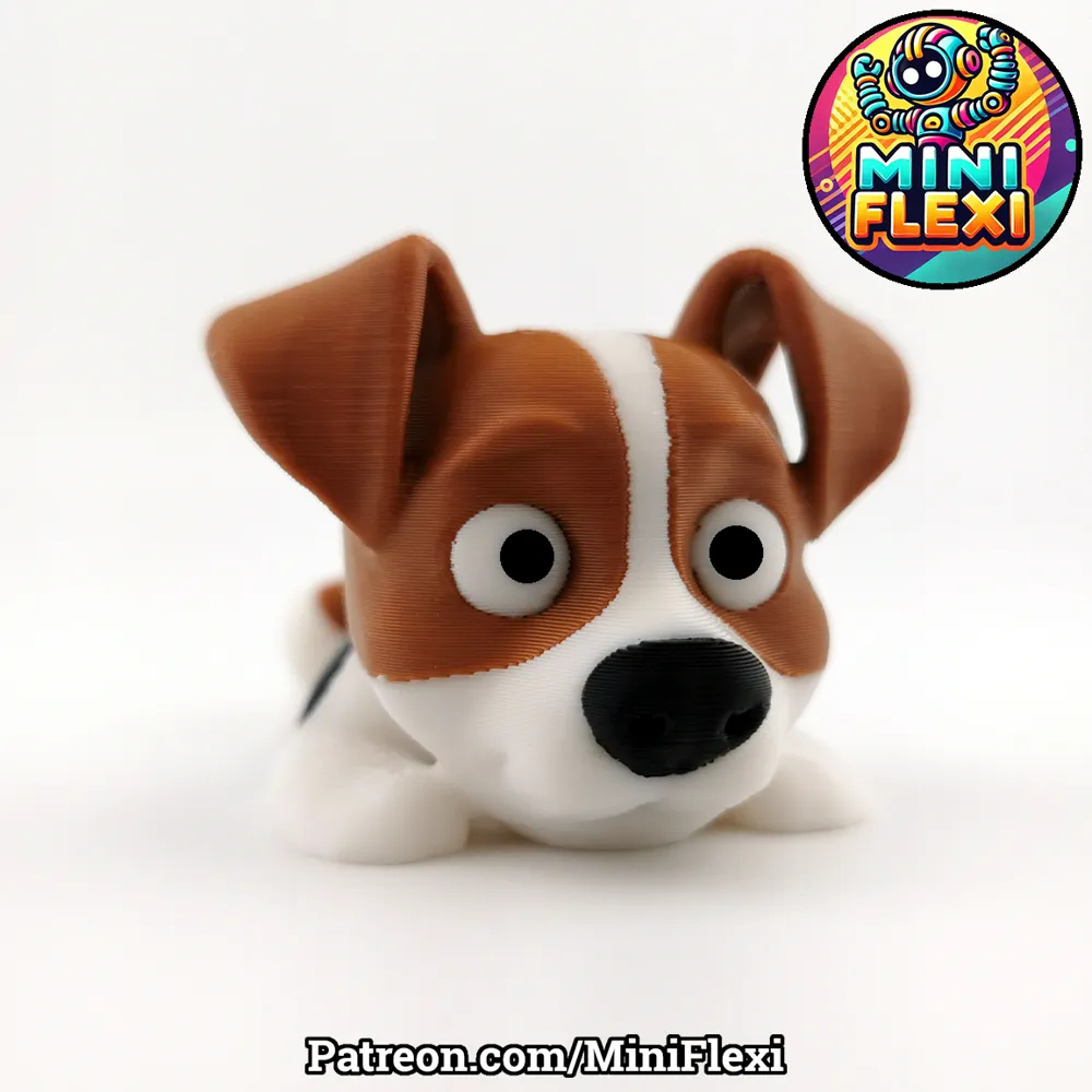 O que é Jack Russell Terrier Cachorro? Guia e Onde Comprar | BuscaProdutos