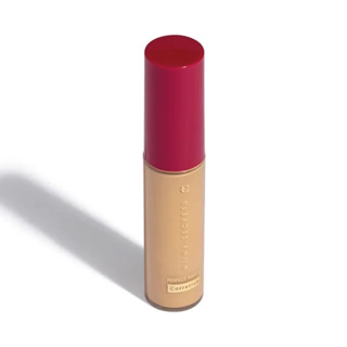 Corretivo Niina Secrets Perfect Match 10ml em Oferta na Shopee