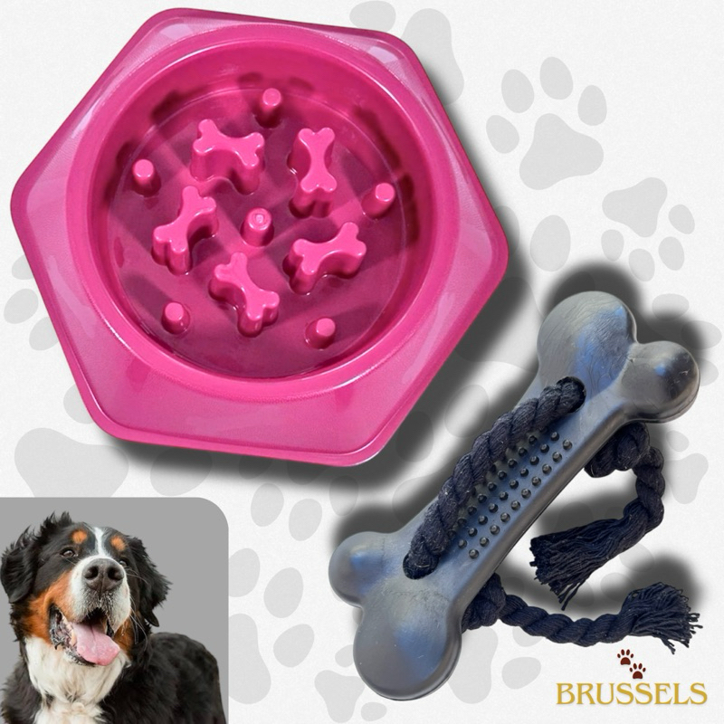 Kit Comedouro Lento Educativo Cães Mais Osso Higiênico Pet Interativo Cachorro