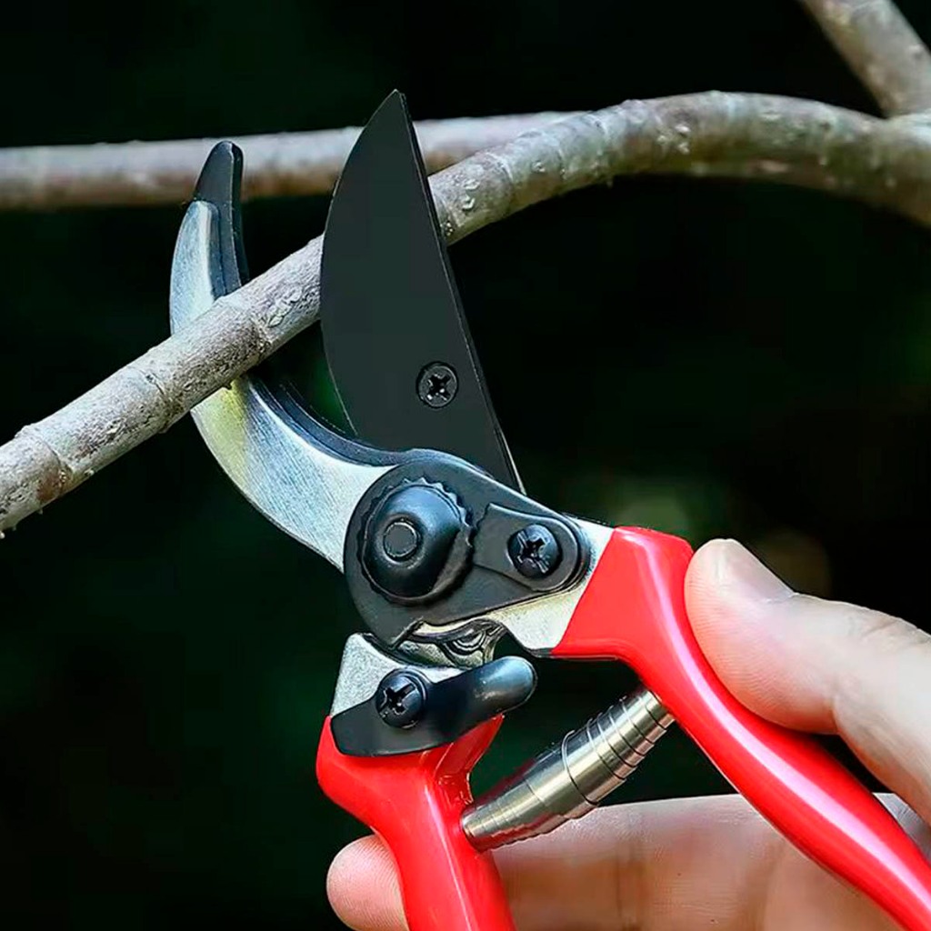 Tesoura de Poda Tipo Suíça Bypass Profissional Jardim em Oferta na Shopee