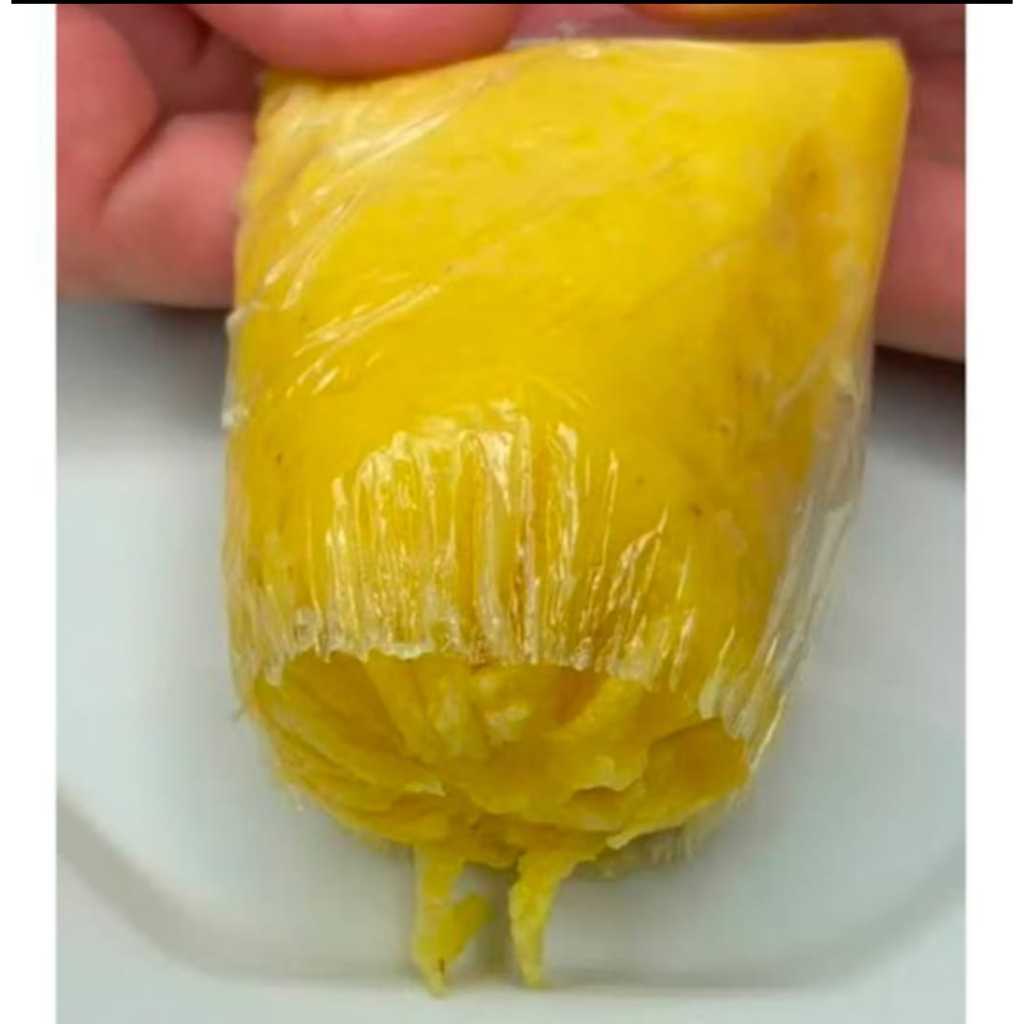 100 saco plastico para pamonha 8x24 transparente vai ao fogo