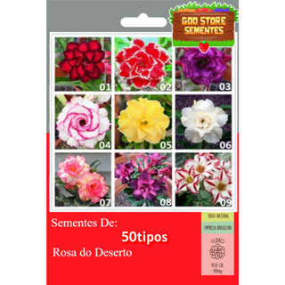KIT 50 Tipos De Rosa do Deserto Sementes em Oferta na Shopee