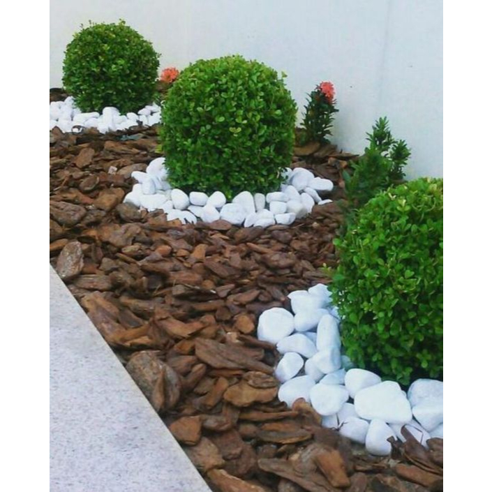Detalhes do Casca de Pinus Polida 2L (300g) – p/ Vasos, Jardins, Paisagismo e Decoração | Vaso e Cia