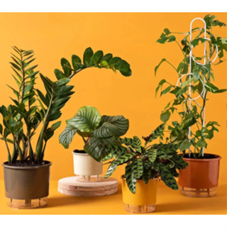 Vaso Autoirrigável Pequeno N2 12,6 Larg x 11,4 Alt em Oferta na Shopee