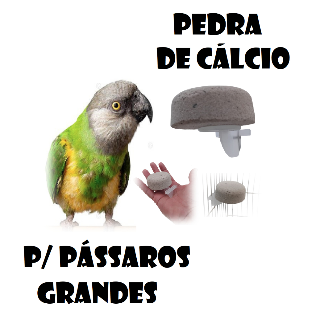 Bica Bica de Cálcio para Aves Passaros Grandes Papagaio Ring Neck com Suporte Gaiolas Viveiros