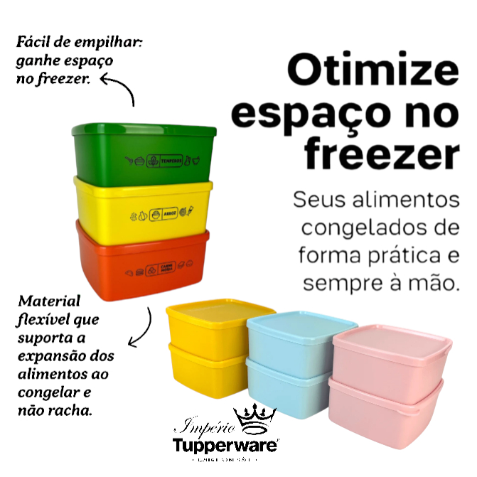 Jeitosinho 400ml TUPPERWARE® Linha Freezer Valor Individual em Oferta na Shopee