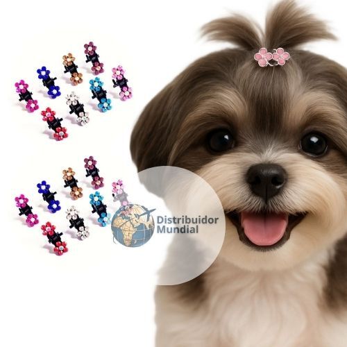 Yorkshire Mini: Guia Completo e Onde Comprar | BuscaProdutos