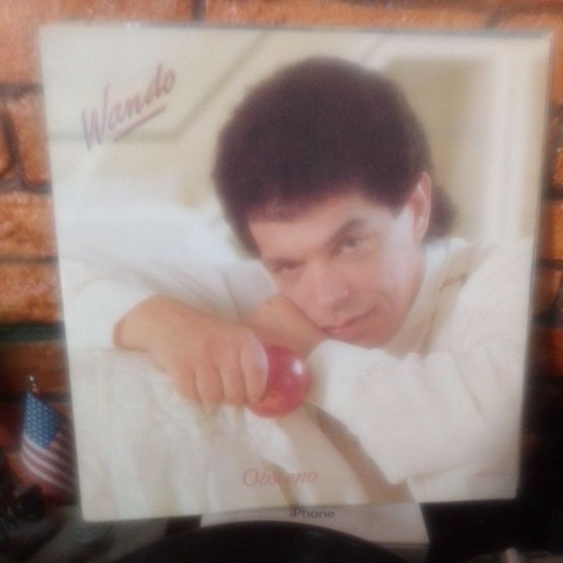 LP DOIS LP'S DO WANDO (OBSCENO) VULGAR E COMUM É NAO MORRER DE AMOR