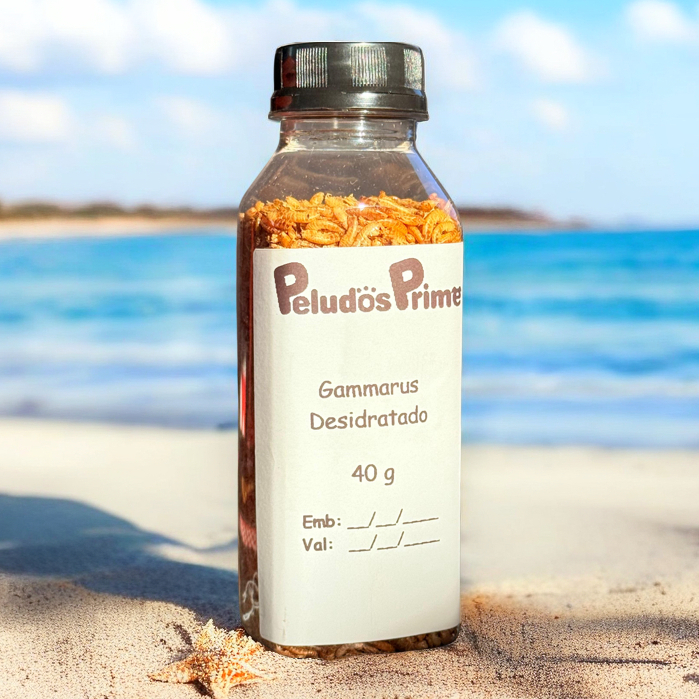 Camarão Desidratado Gammarus Premium 40g 120g Alimento Natural Rico Proteína para Peixes  Tartarugas