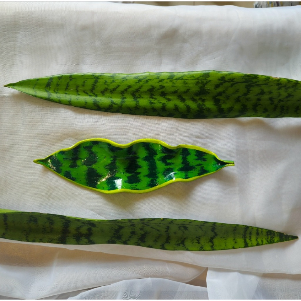 Espada da Santa Barbara: Onde Comprar | BuscaProdutos