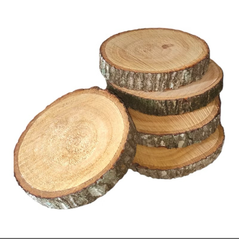 Bolacha de Mogno Africano Madeira Rustica - 14 a 24 cm
