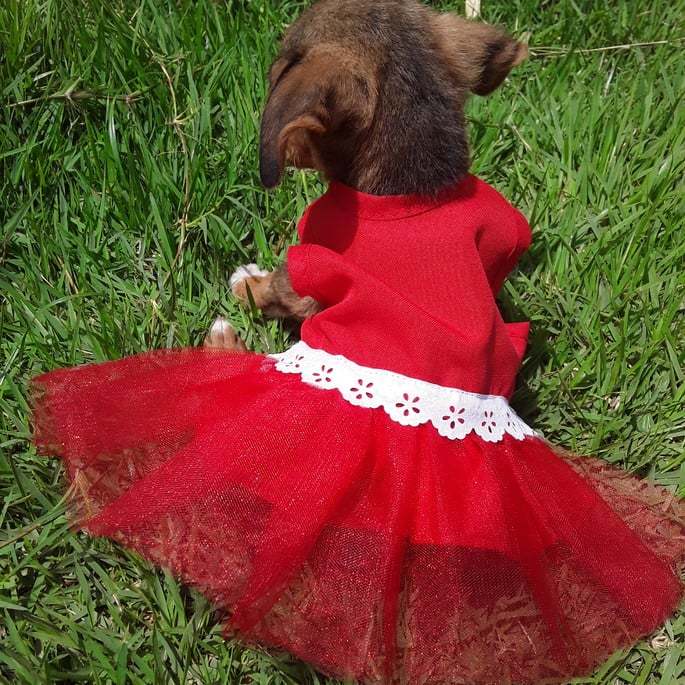 Vestidomoda pet bailarina roupa de cachorro vestido para cachorro de pequeno e grande porte vários tamanhos