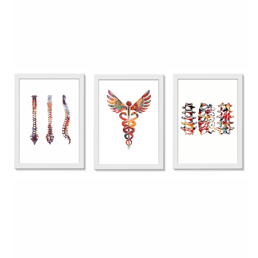 Kit 3 Quadros Decorativos Coluna Vertebral  Ortopedia Fisioterapia Molduras 20x30cm Madeira Vidro Brancas