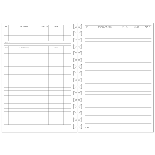 Refil PLANNER FINANCEIRO 12 Meses Reposicionável P/ Caderno AD 90g/m² Tamanho A5