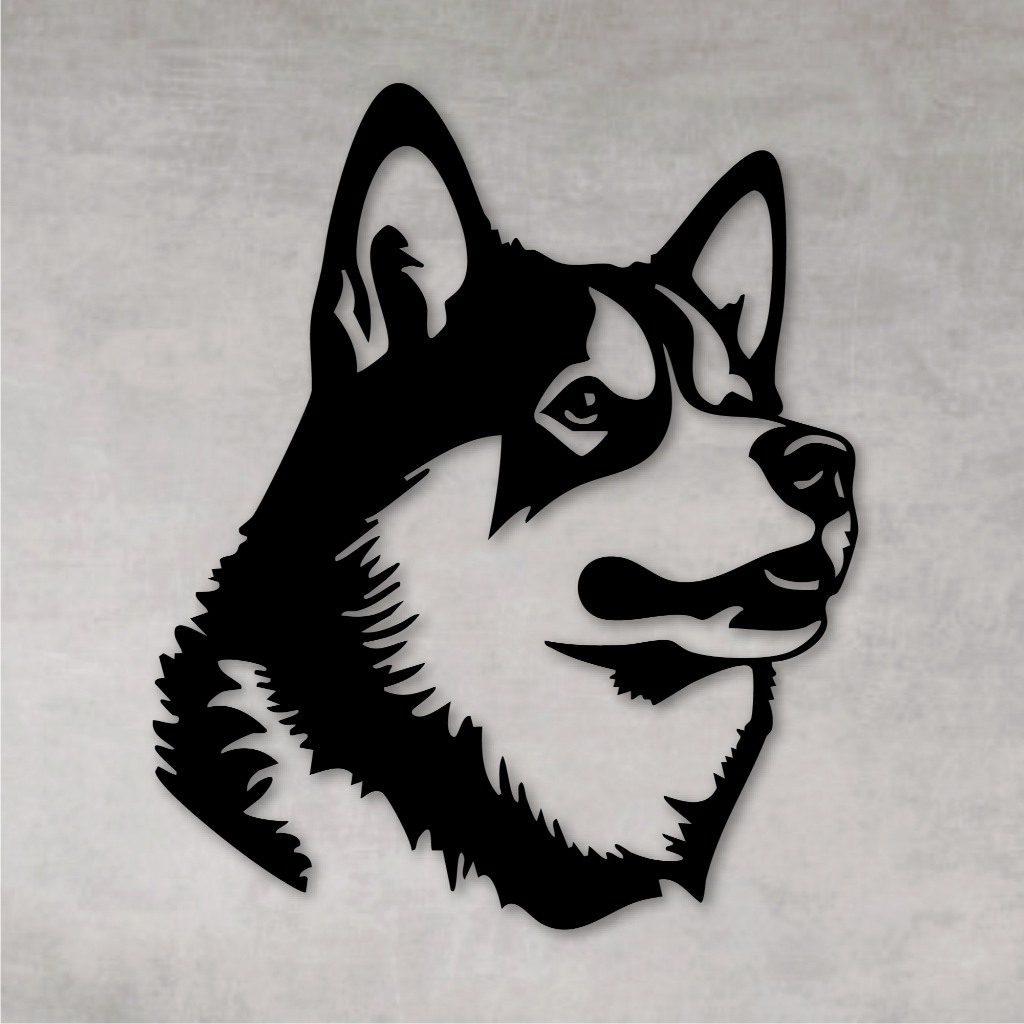 Husky Siberiano Preto: Onde Comprar | BuscaProdutos