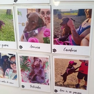 Mini Fotos Imãs de geladeira.Kit com 5, 10,15 e 20. em Oferta na Shopee