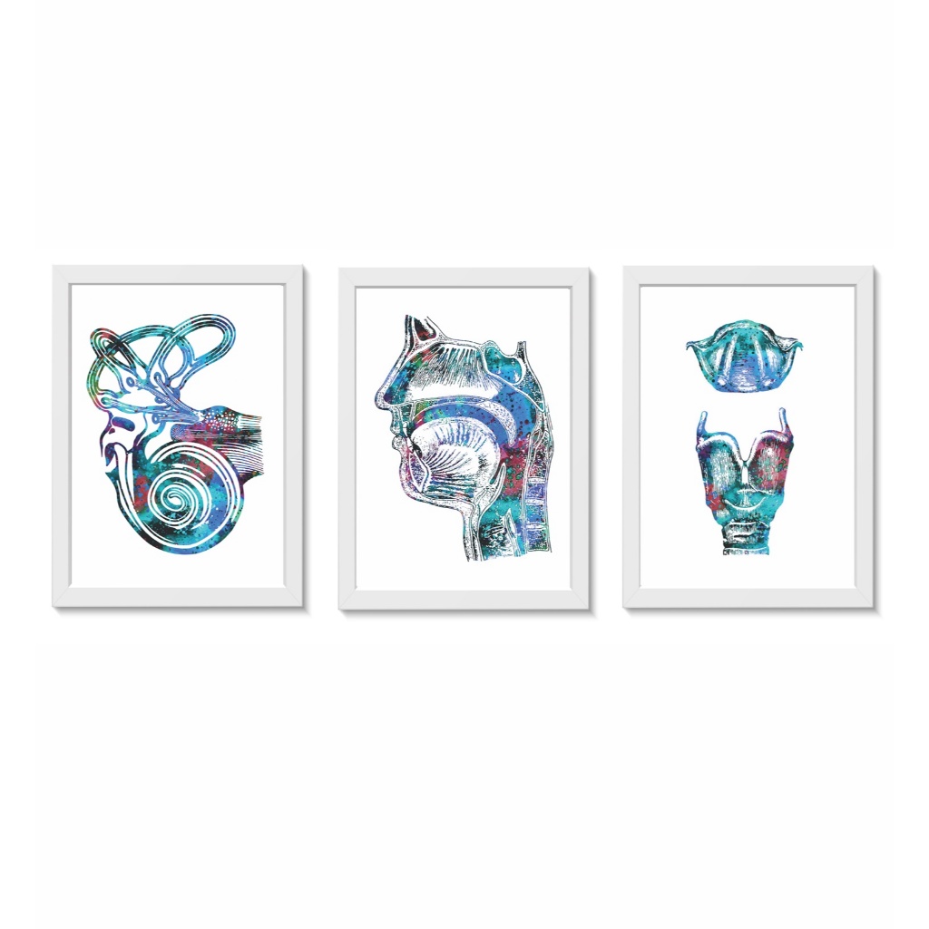 Kit 3 Quadros Decorativos Otorrinolaringologia Médicina Moldura 20x30cm Madeira Vidro Cor Brancas