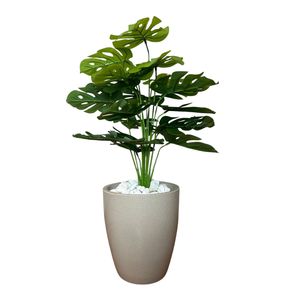 Costela de Adão Artificial Grande +Vaso Polietileno Completo