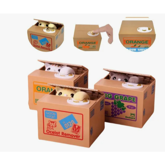 Box Fruit: Guia Completo e Onde Comprar | BuscaProdutos