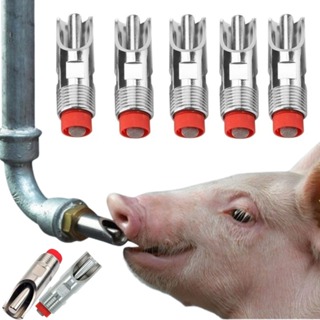 Kit 5 Bebedouro de Porco Automático Chupeta Suíno Bico Aço Inox em Oferta na Shopee