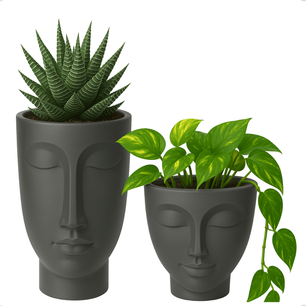 Kit Conjunto Cachepot Vaso Planta Face Mulher 17cm 2,19L Homem 24cm 2,75L Preto Plastico Nutriplast