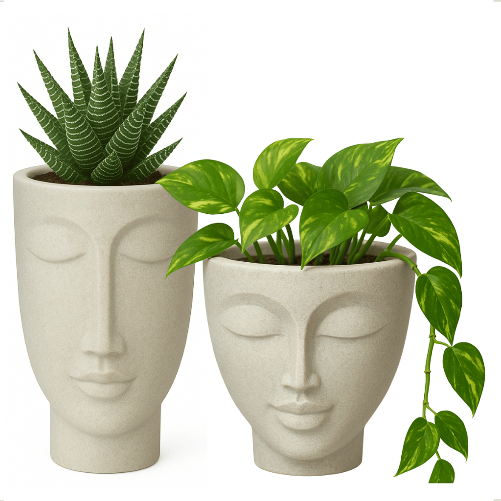 Kit Conjunto Vaso Planta Face Rosto Mulher 17 Homem 24 Cabeça Cimento Plastico Nutriplan Nutriplast