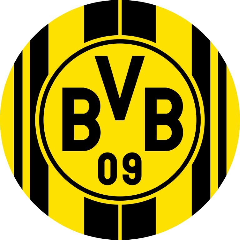 Borussia Dortmund + Capa Painel de festa redondo 1.5m de diâmetro (capa) + Tecido Sublimado