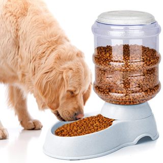 Comedouro Automático para Cães e Gatos Bebedouro 3,8L prático pet  GALÃO em Oferta na Shopee