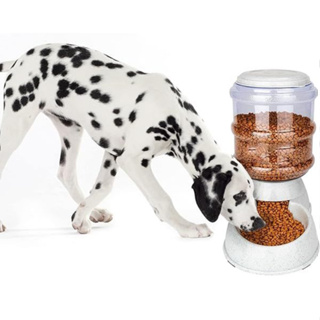 Comedouro GALÃO Automático Cães e Gatos 3,8L prático pet em Oferta na Shopee